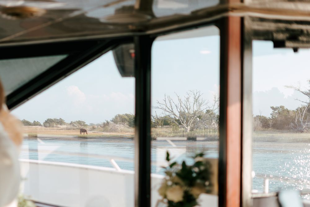 View through a car window showing a coastal landscape with bare trees and water in the distance.