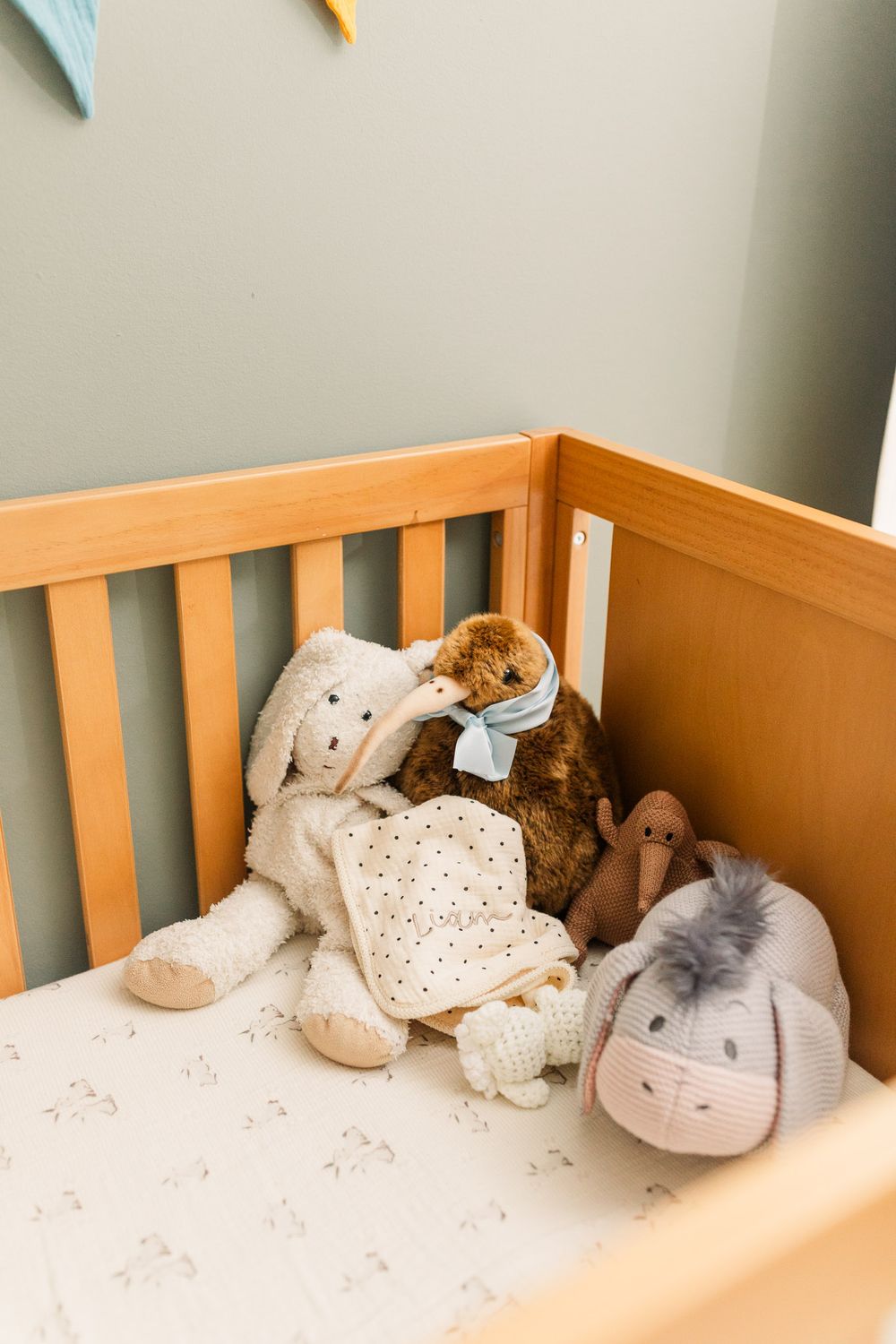 Winnie the Pooh themed nursery newborn photos Richmond Virginia
