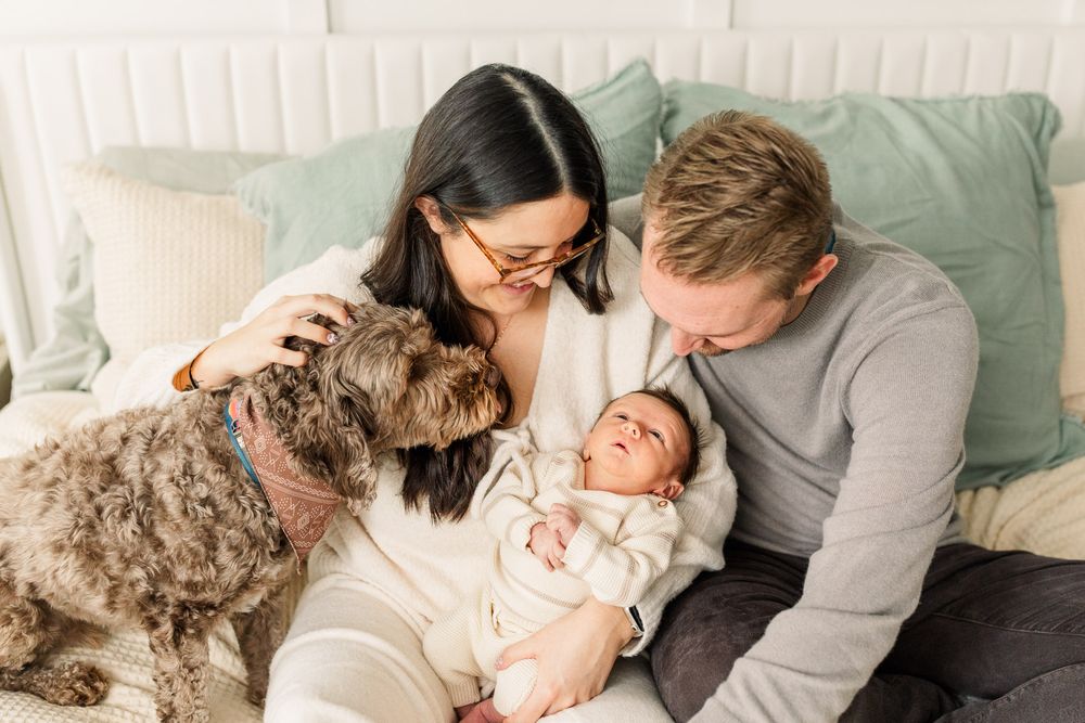 Dog looking at baby during newborn photography session in richmond va