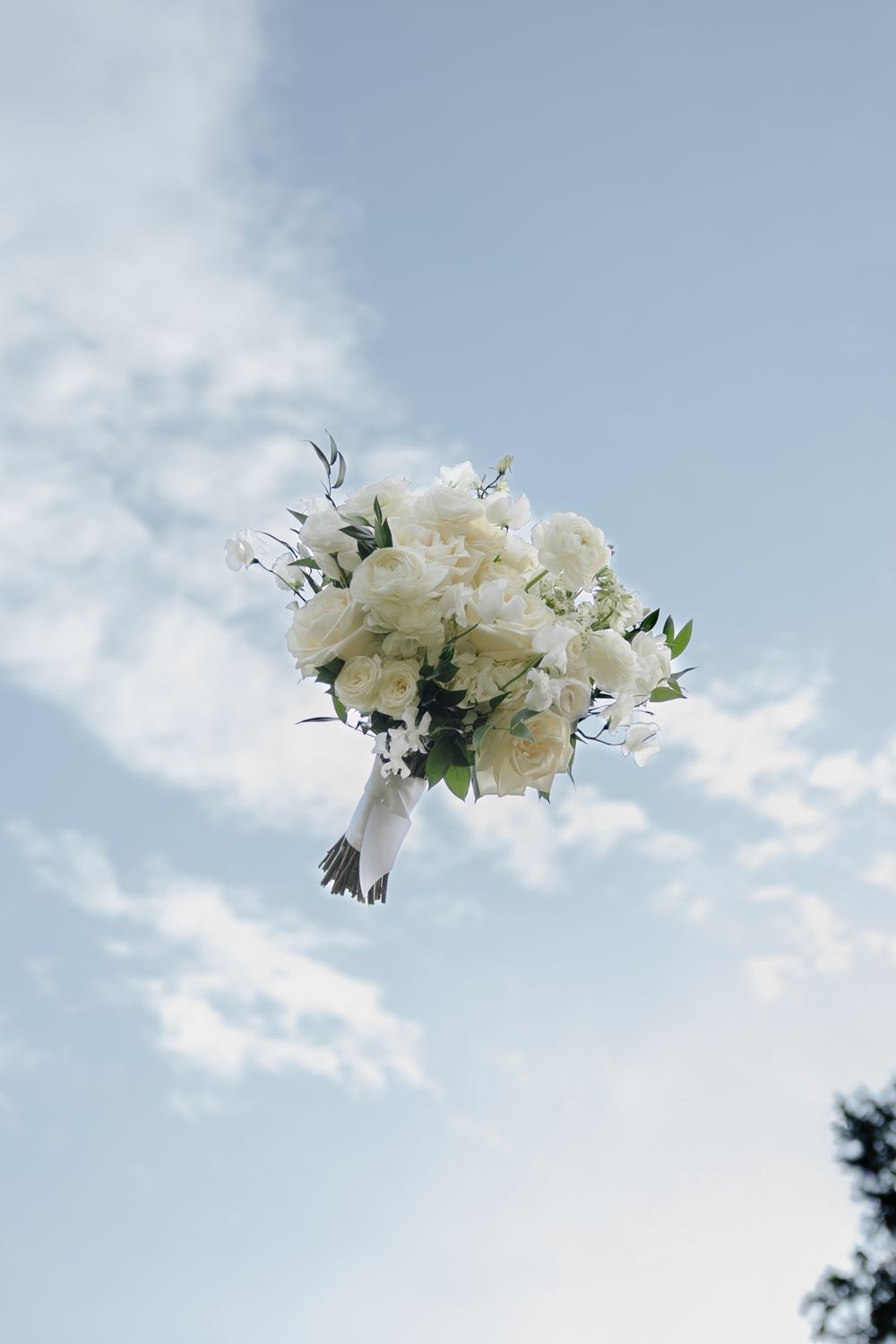 White flowers floating against a soft blue sky with wispy clouds create a dreamy, ethereal scene.