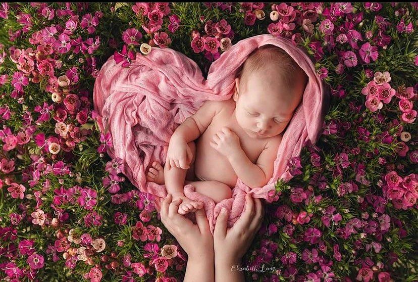 A series of artistic newborn photography shots featuring pink fabric against vibrant magenta floral backgrounds.