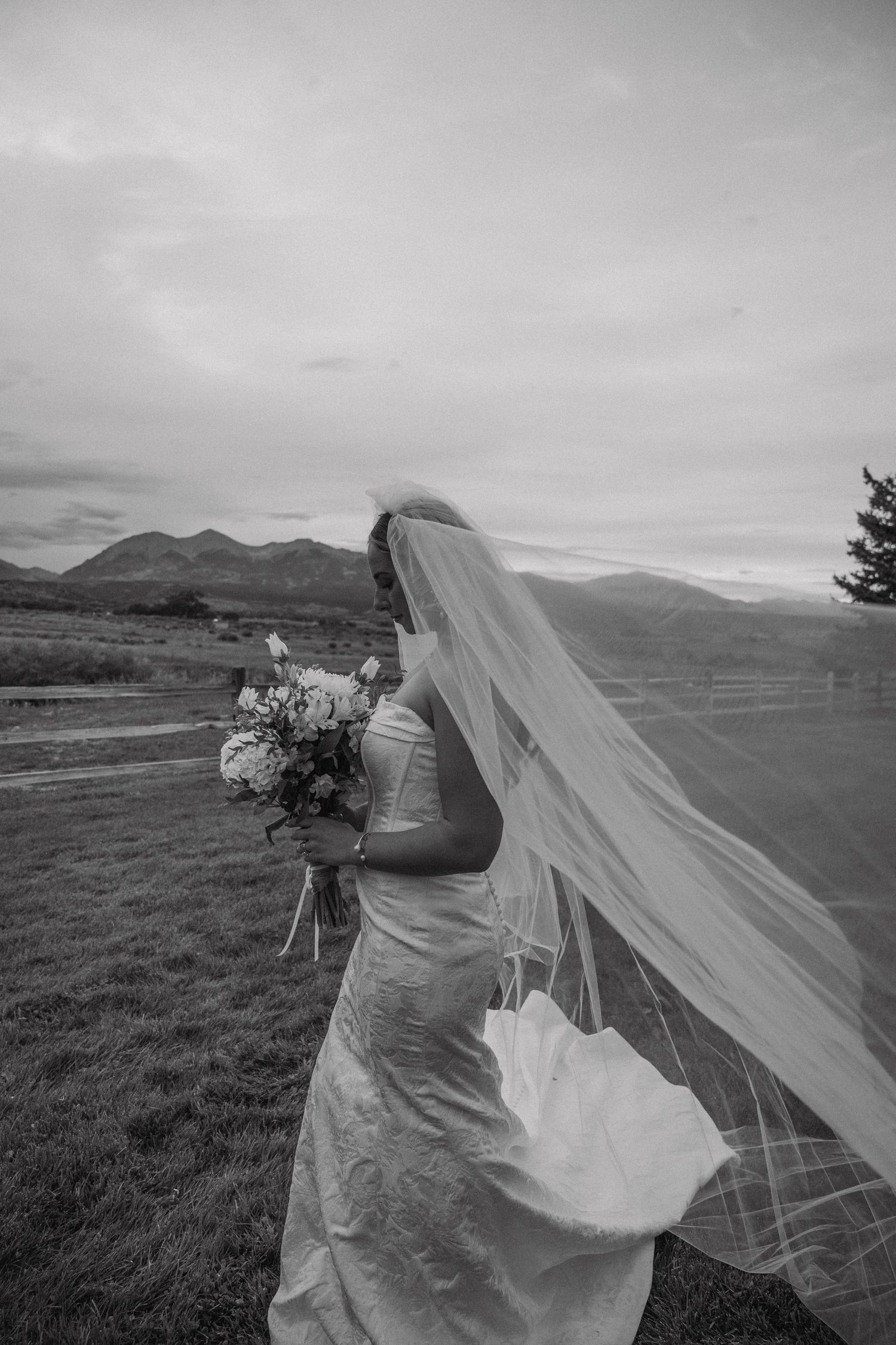 Dramatic black and white photo of bride with flowing veil in mountain landscape.