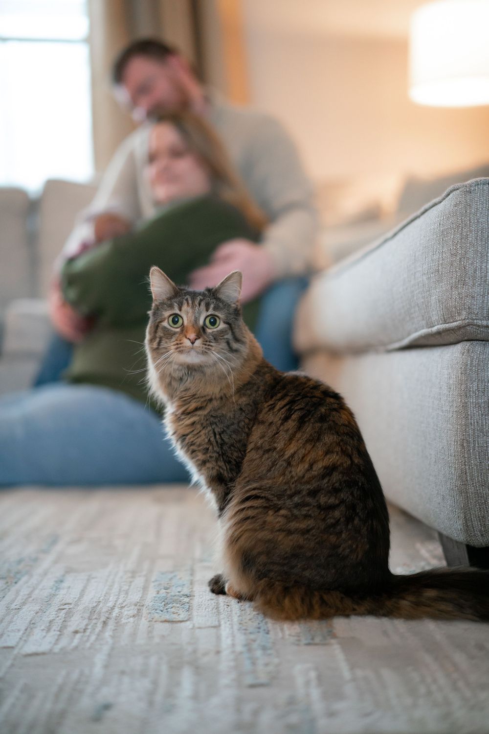 Pet photography