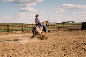 A rider on a gray horse makes a sliding stop in a dusty arena with a metal fence and open plains behind.