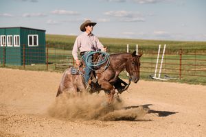 A cowboy in a hat rides a brown horse in an arena, kicking up dirt while holding a looped rope near a green barn.