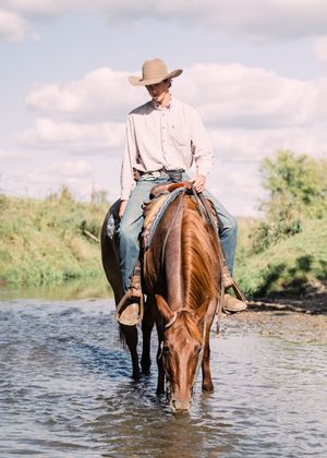 A cowboy in a hat rides a chestnut horse through a clear, shallow creek under a blue sky with soft clouds.