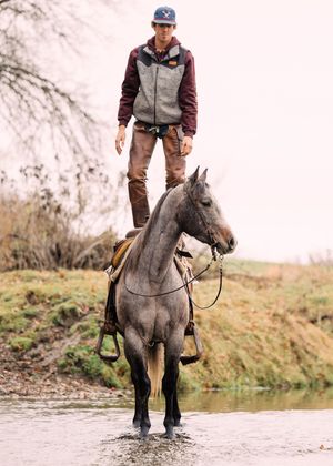 A cowboy stands upright on the back of a gray horse in a shallow creek, showing skilled trick riding and balance.
