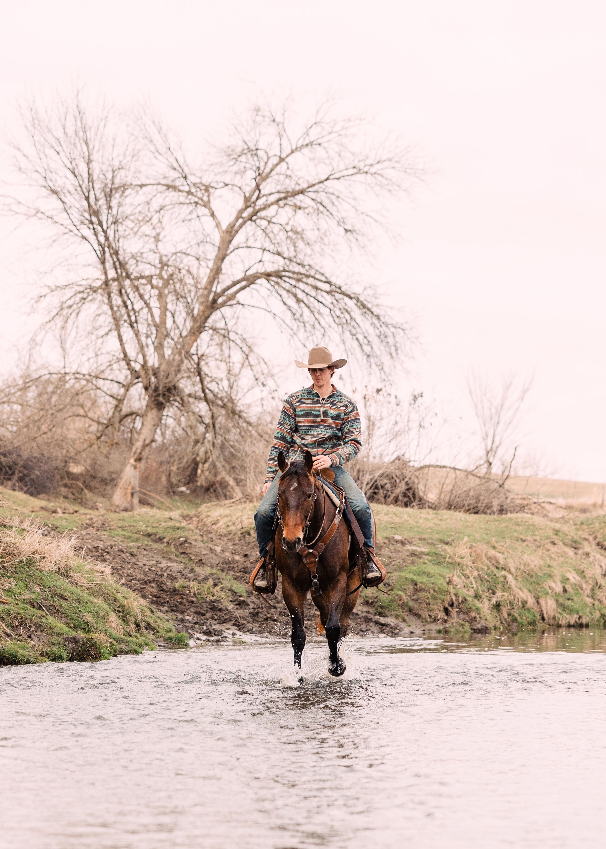 A rider in a cowboy hat and striped shirt trots a brown horse through shallow creek water near a bare tree.