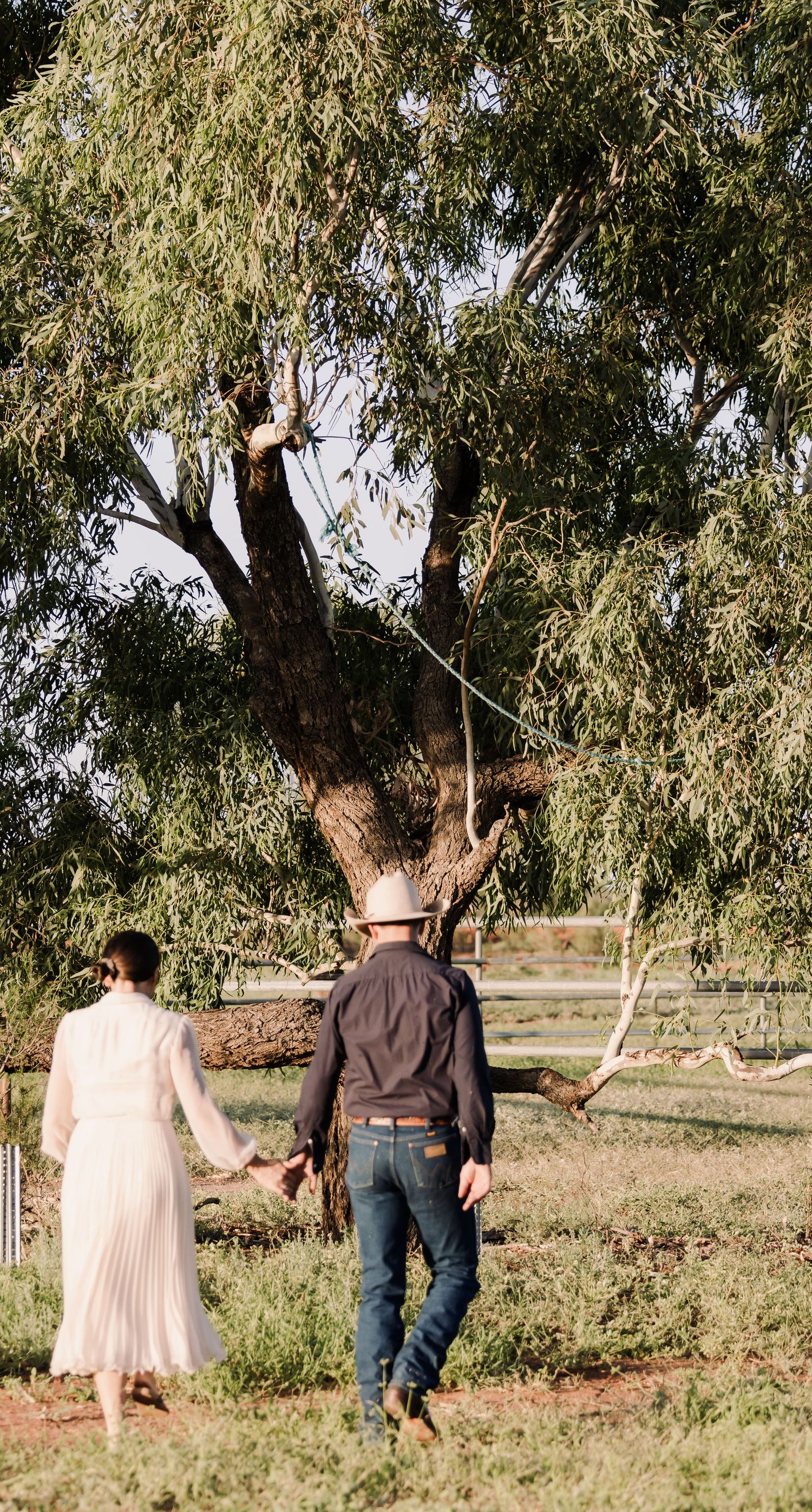 Couple holding hands while walking near large willow tree in countryside.