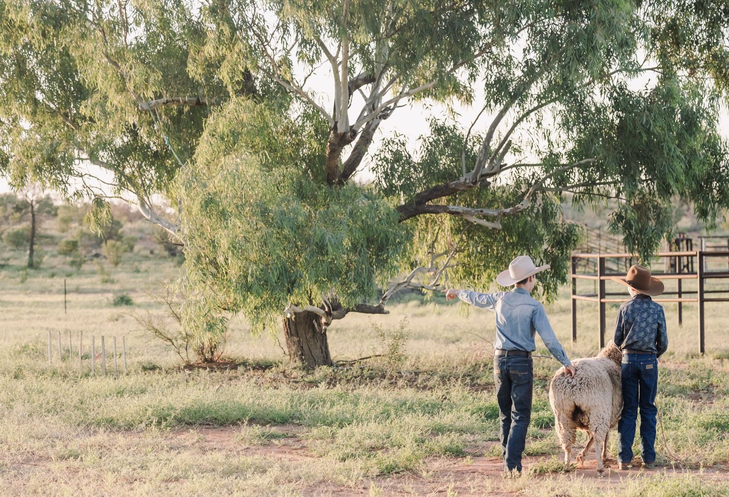 Two people walking together on path beneath eucalyptus trees in rural setting.