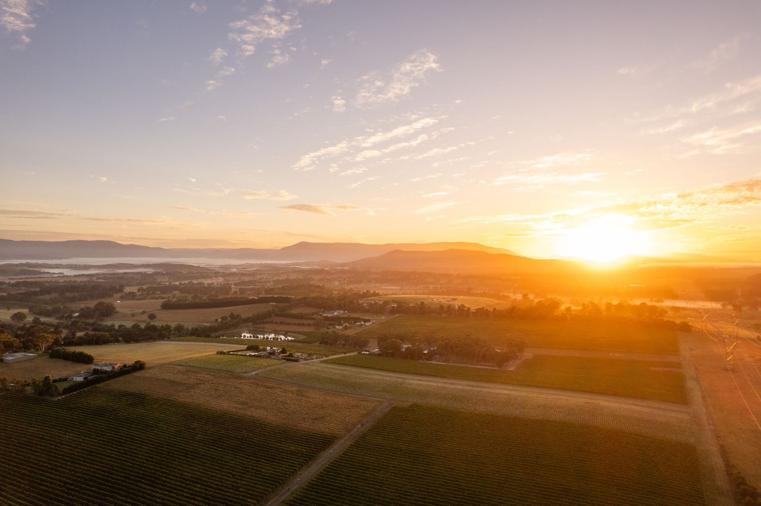 Golden sunrise over rolling vineyard landscape in Victorian wine country
