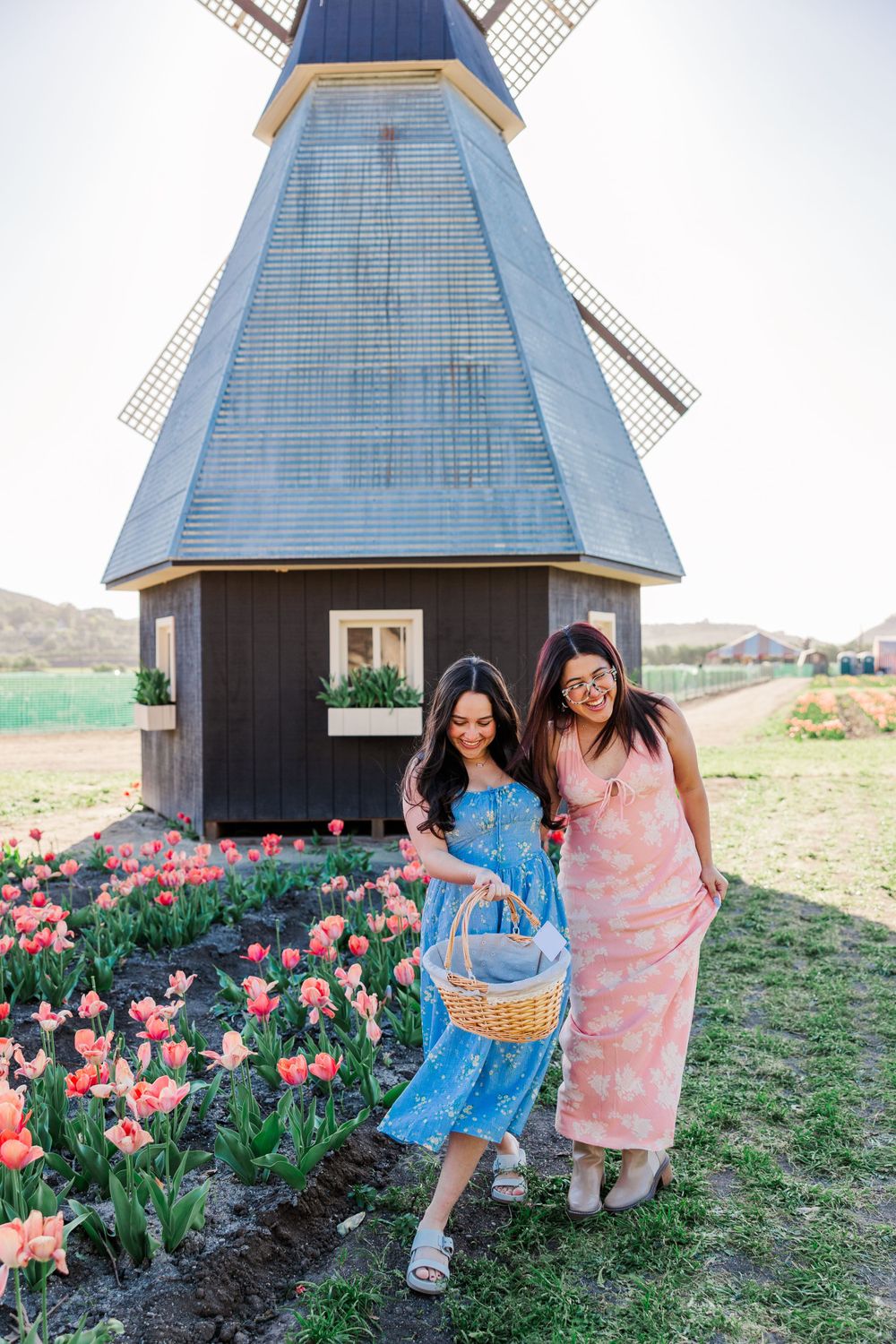 Two people in spring dresses standing by a traditional windmill with pink tulips blooming in the foreground. Located at Underwood Farm.