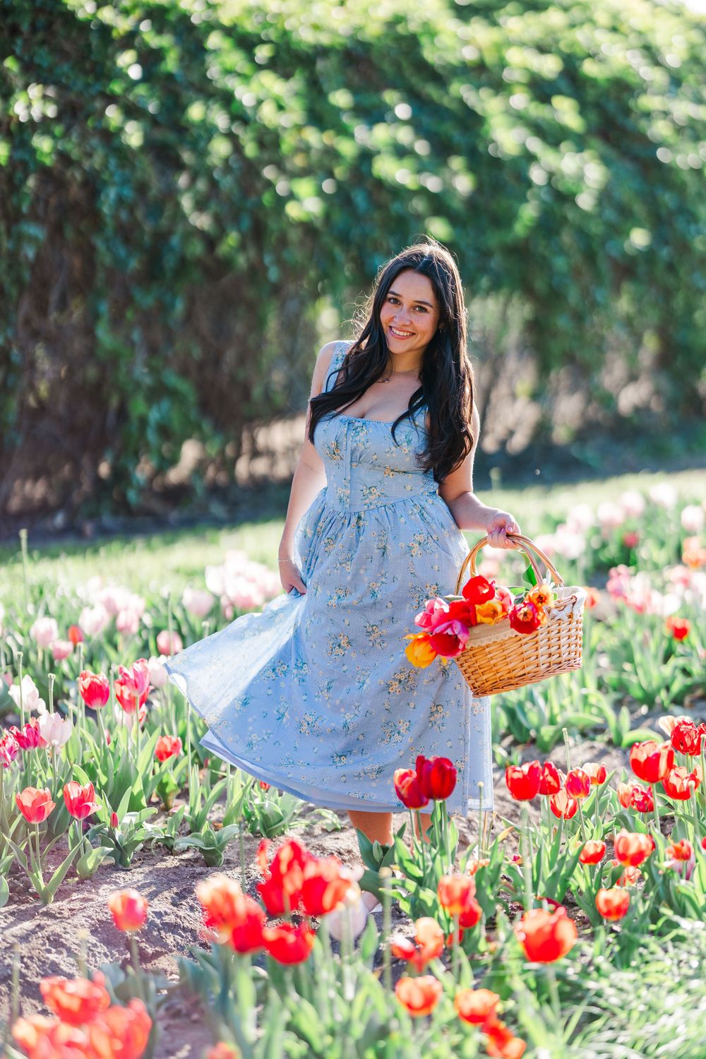 A flowing blue dress stands out among red and orange tulips as a wicker basket is carried through the garden.
