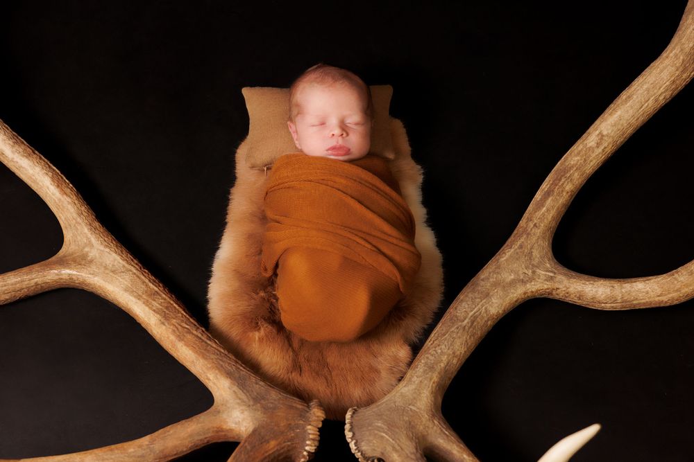 Newborn sleeping peacefully nestled between large antlers on brown fur with dark background.