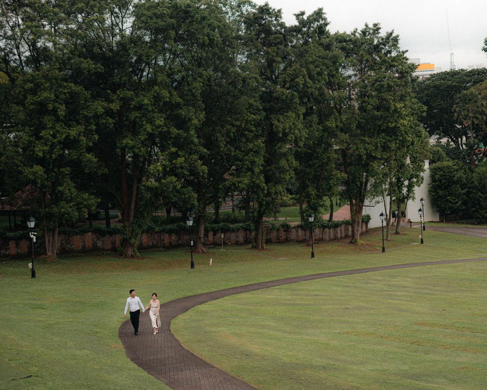 A curved pathway through a lush green park with tall trees in the background.