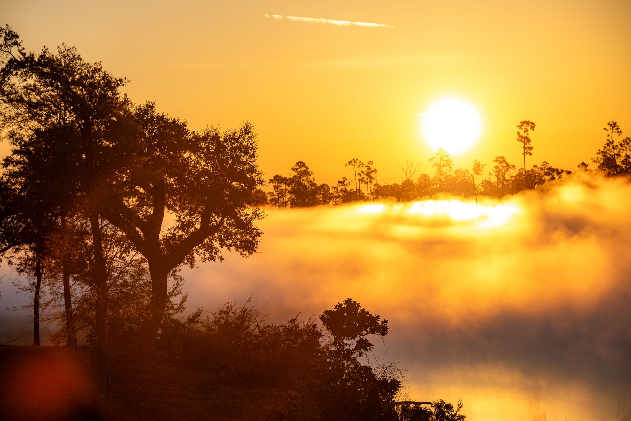 Travel Photographer in Panama City Florida. Nature photos in the Florida Panhandle: Beaches, Bayou, Natural Springs, Skies, Plants, and more