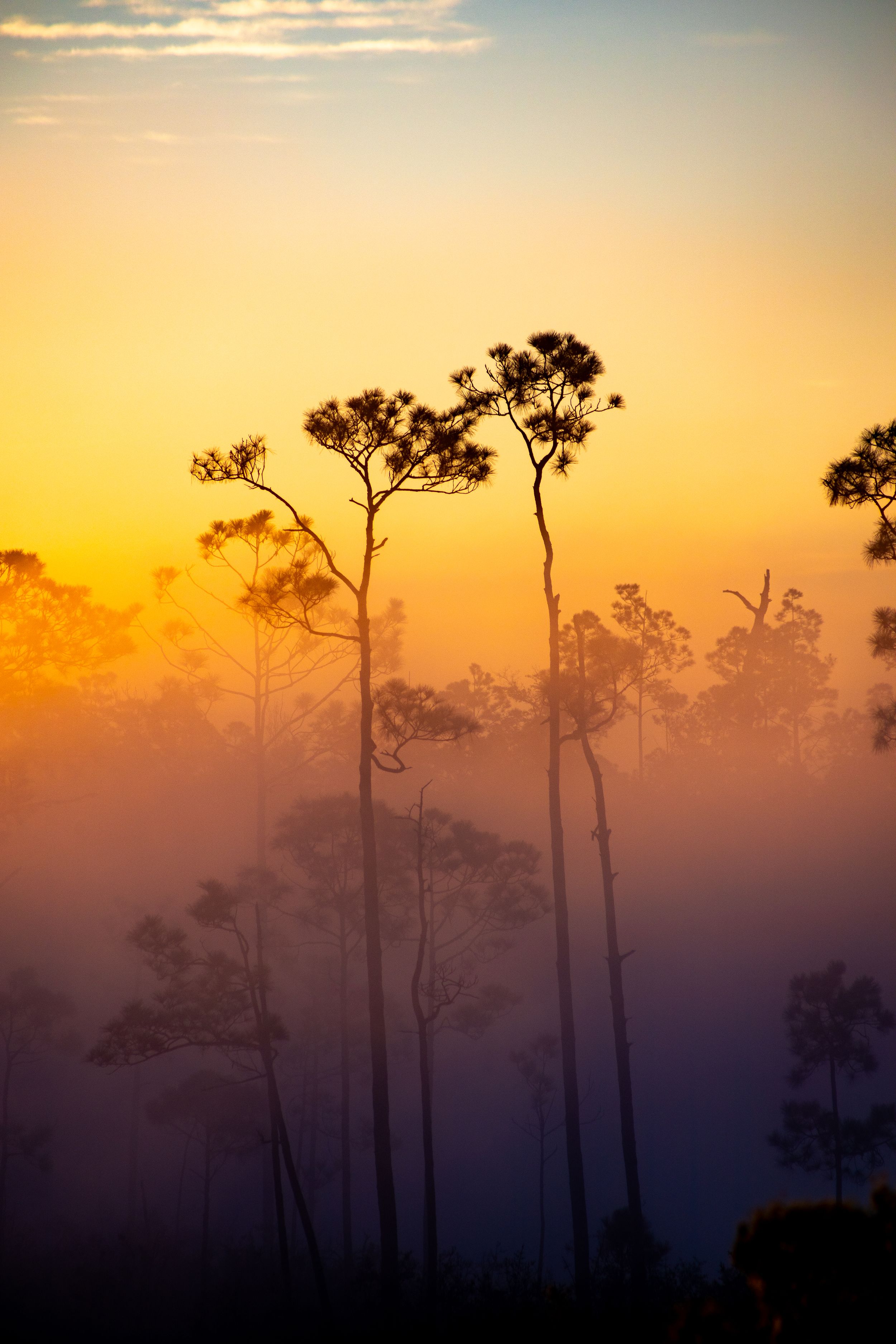 Travel Photographer in Panama City Florida. Nature photos in the Florida Panhandle: Beaches, Bayou, Natural Springs, Skies, Plants, and more