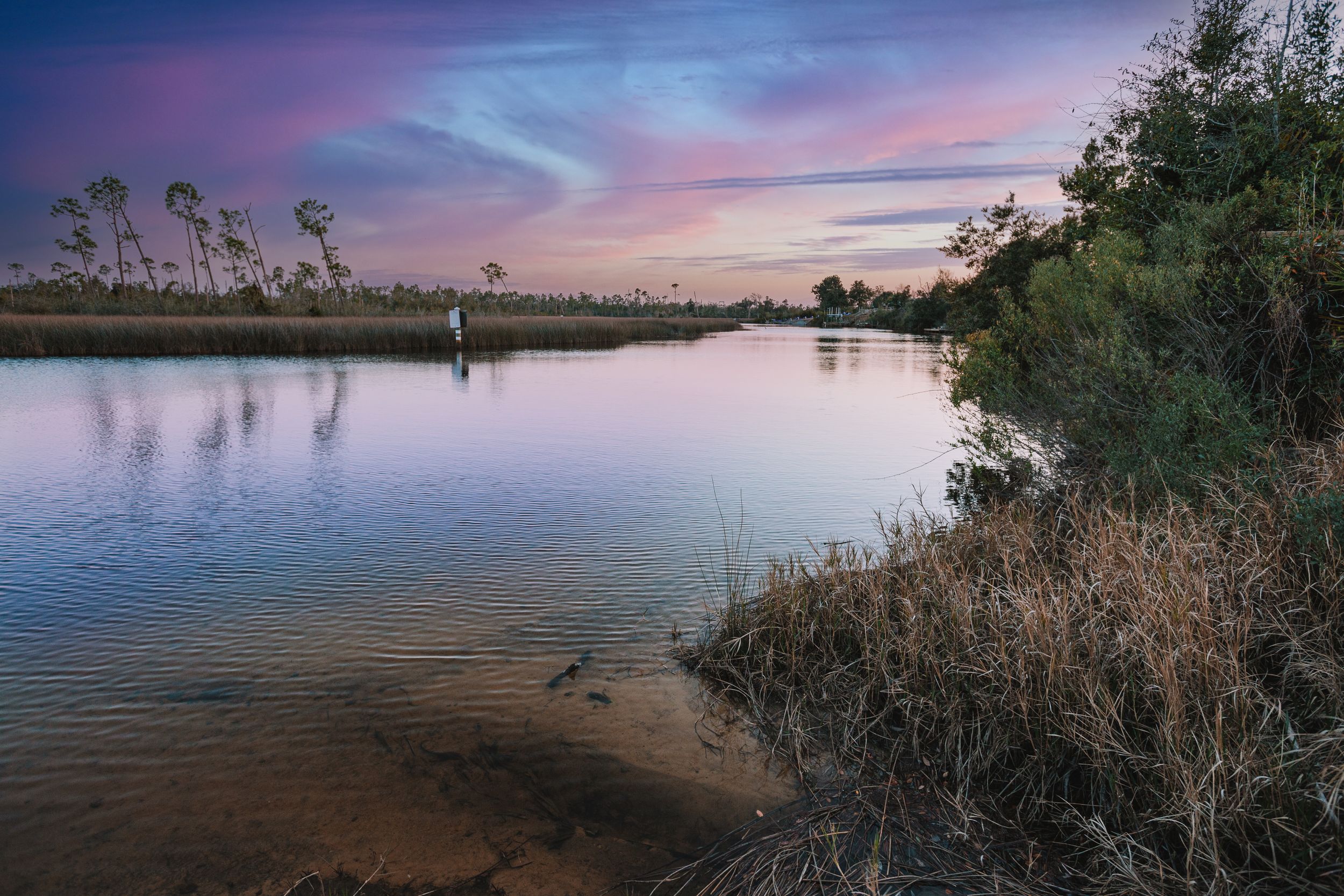 Travel Photographer in Panama City Florida. Nature photos in the Florida Panhandle: Beaches, Bayou, Natural Springs, Skies, Plants, and more