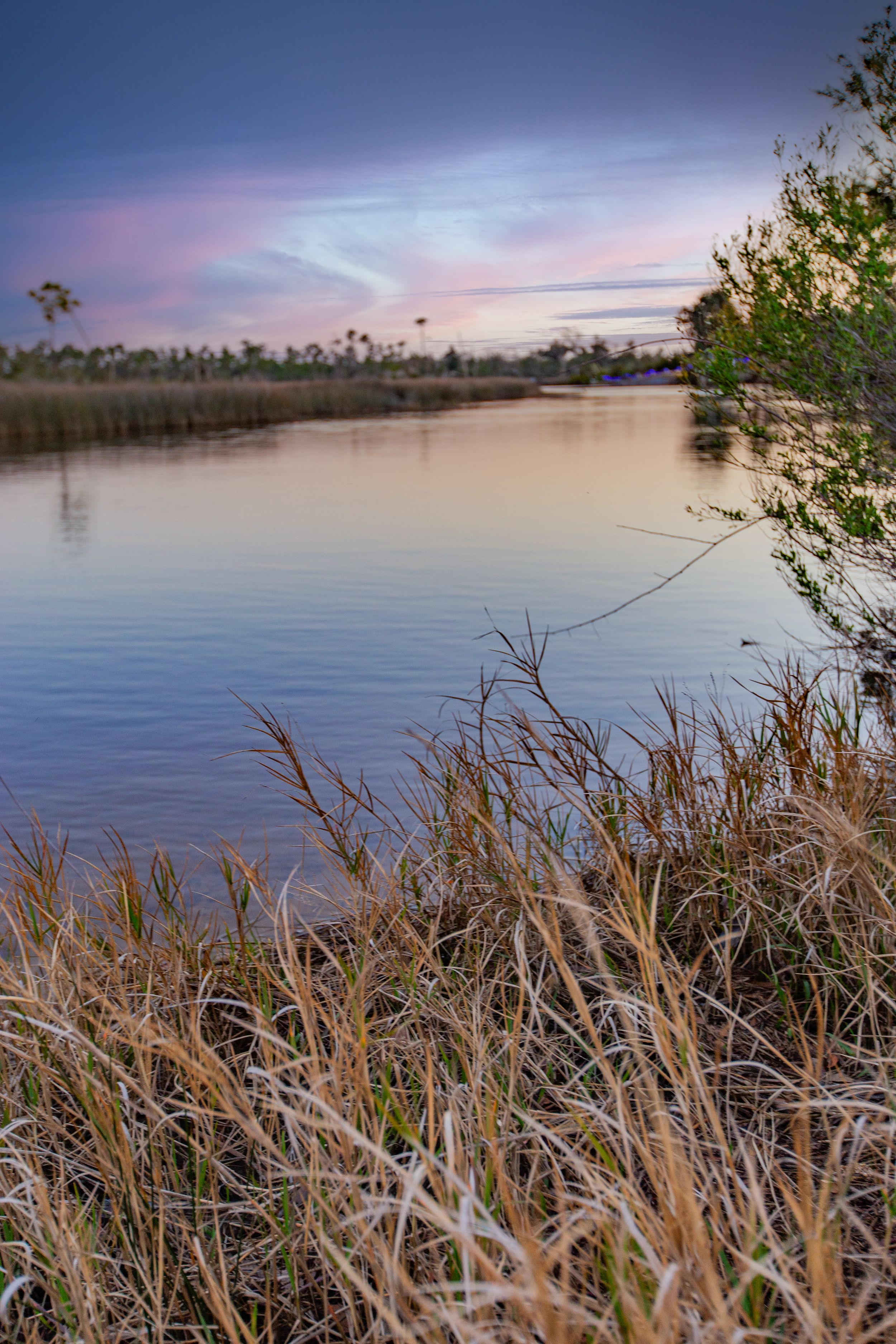 Travel Photographer in Panama City Florida. Nature photos in the Florida Panhandle: Beaches, Bayou, Natural Springs, Skies, Plants, and more