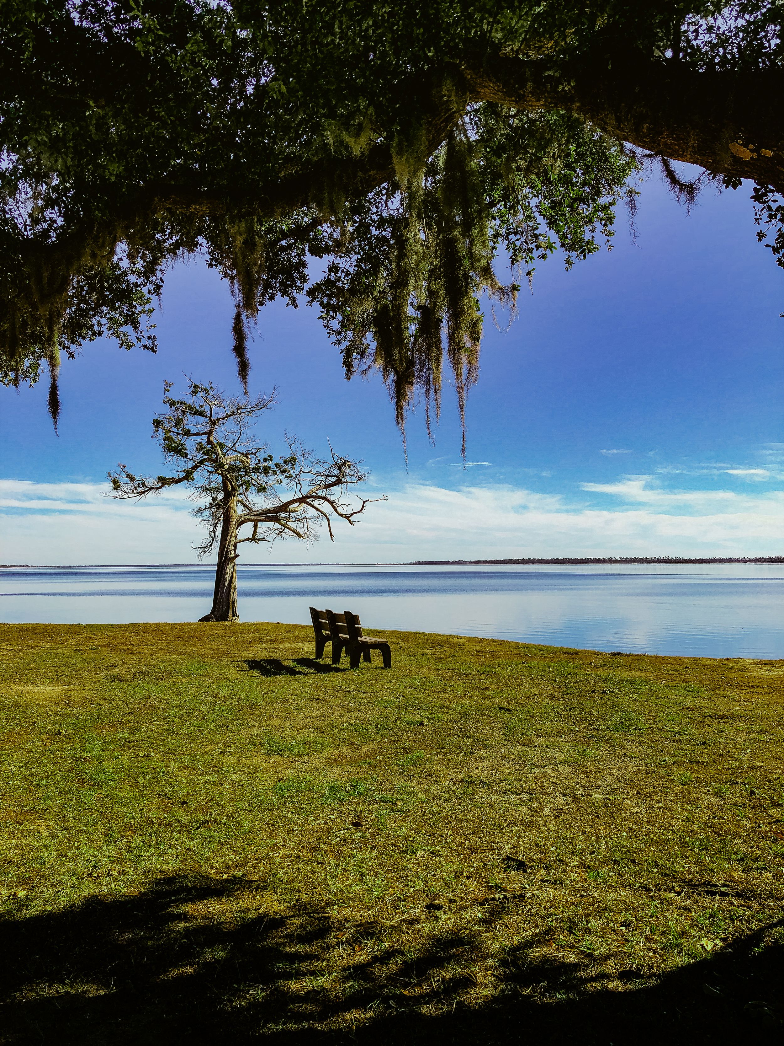 Travel Photographer in Panama City Florida. Nature photos in the Florida Panhandle: Beaches, Bayou, Natural Springs, Skies, Plants, and more