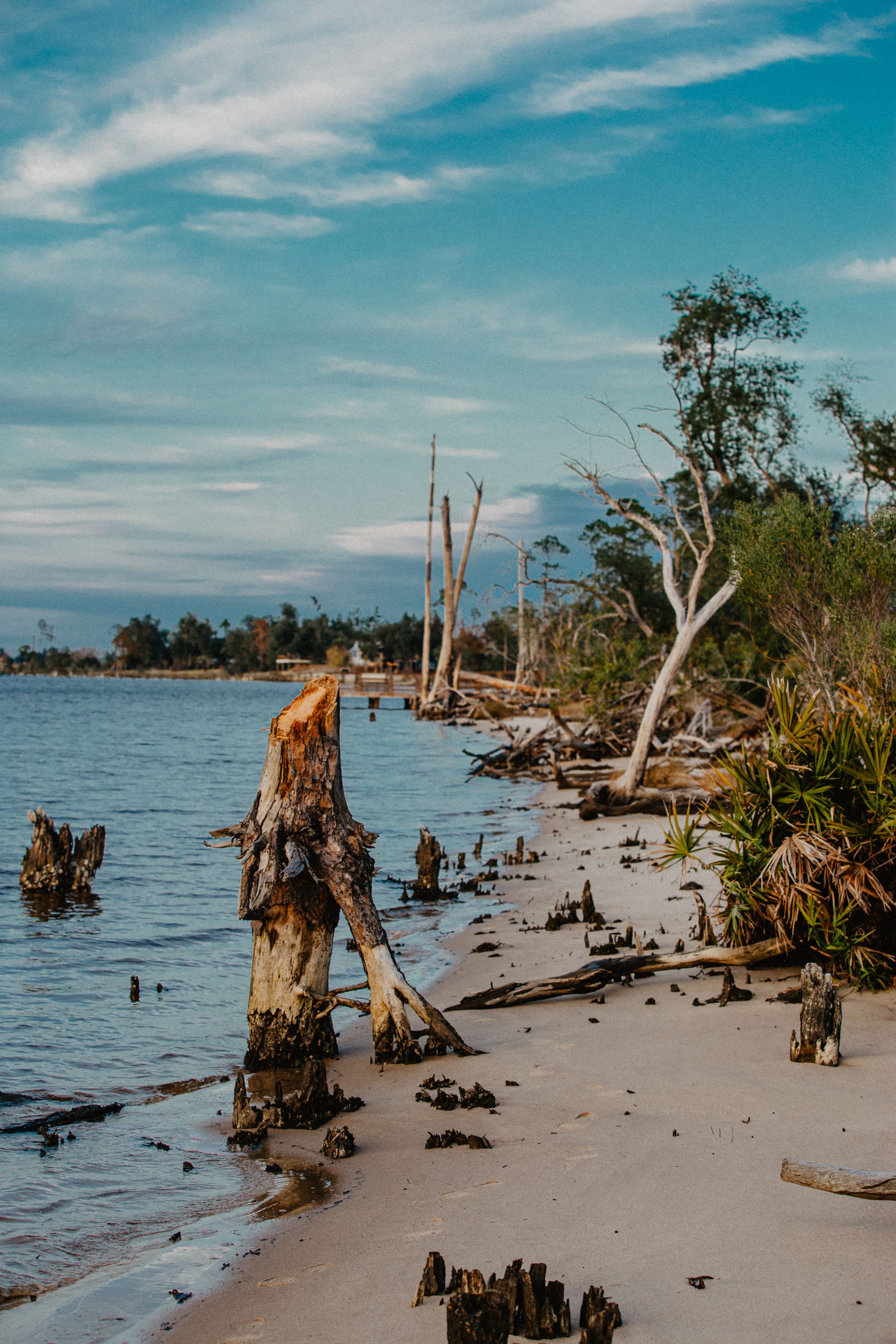 Travel Photographer in Panama City Florida. Nature photos in the Florida Panhandle: Beaches, Bayou, Natural Springs, Skies, Plants, and more