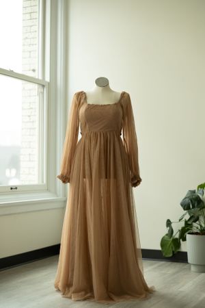 Elegant brown tulle maxi dress with long sheer sleeves and empire waistline displayed on mannequin near window.