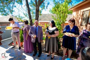 Guests mingling at an outdoor reception under pine trees on a sunny day.