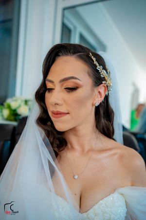 Close-up bridal portrait showing elegant makeup and delicate hair accessories with a flowing white veil.