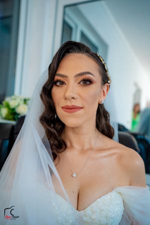 Detailed shots of bridal makeup and jewelry with flowing tulle veil.