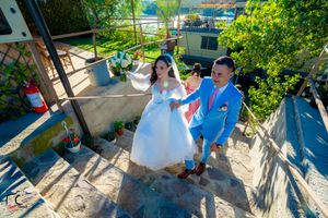 Outdoor wedding venue pathway surrounded by lush green foliage on a sunny day.