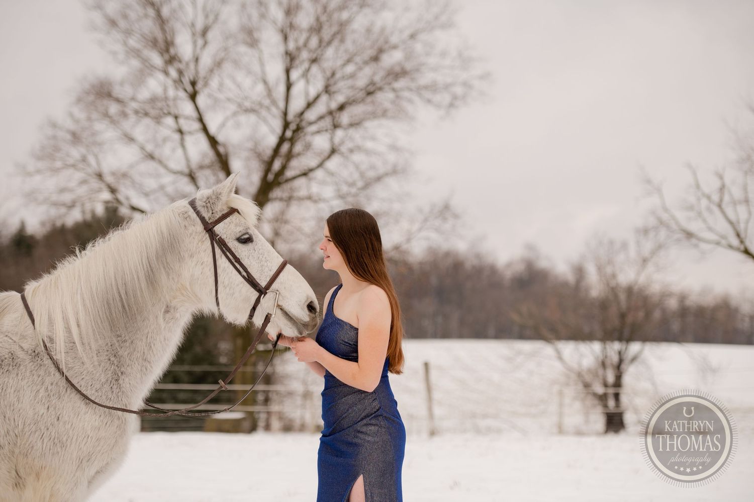 White horse and blue-dressed figure share a quiet moment in snowy field with bare winter trees.