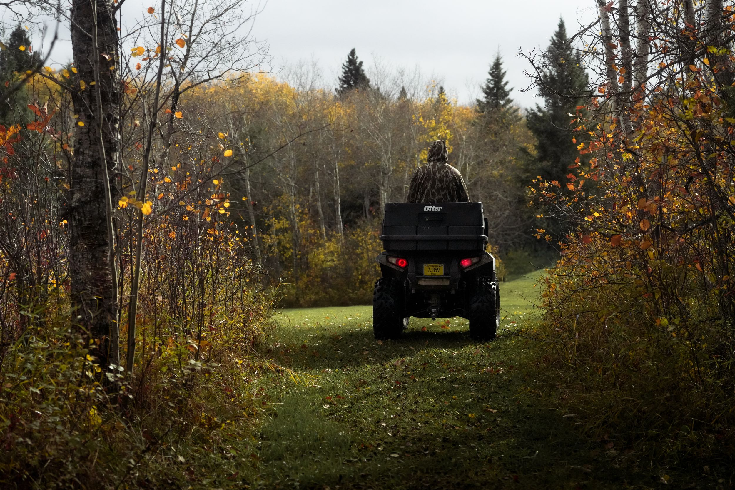 ATV riders travel through a scenic autumn forest trail with colorful fall foliage and evergreen trees.