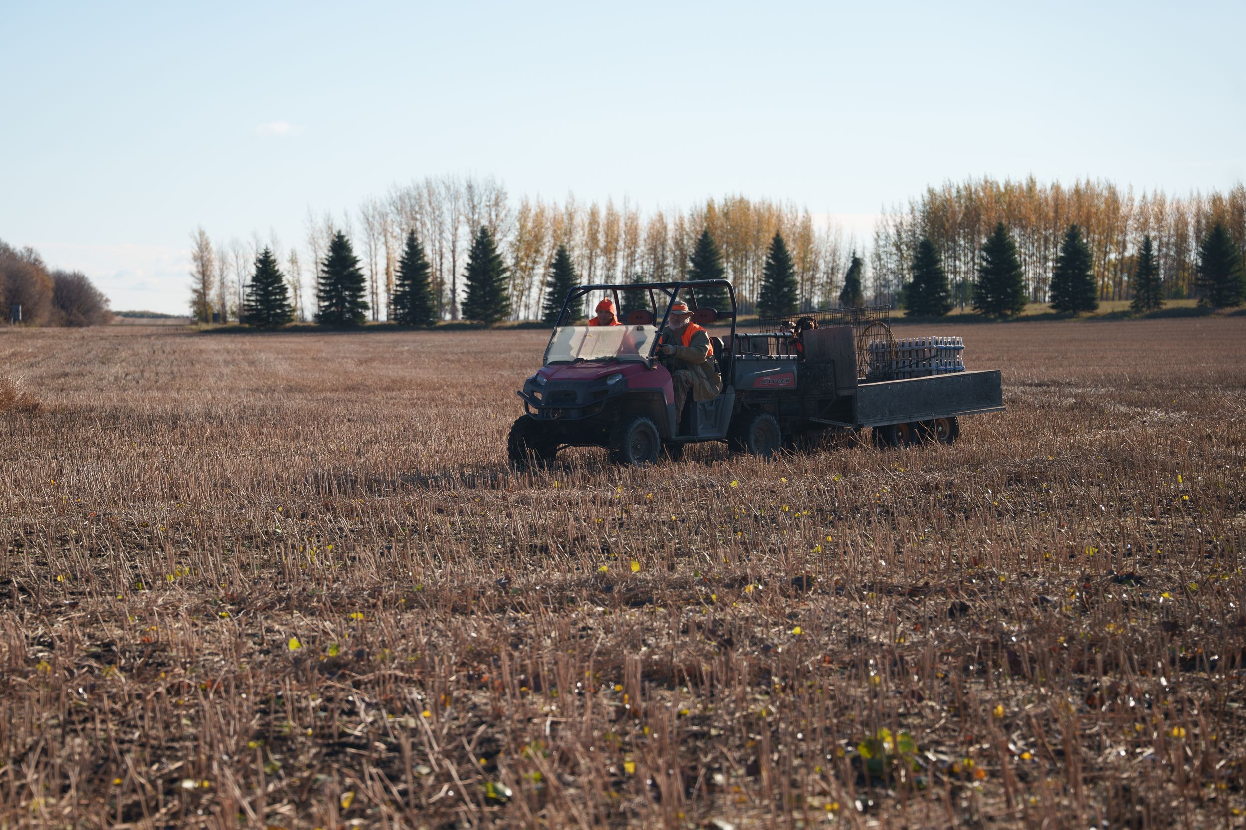 A panoramic sequence of harvesting equipment working in a brown agricultural field against a cloudy sky.