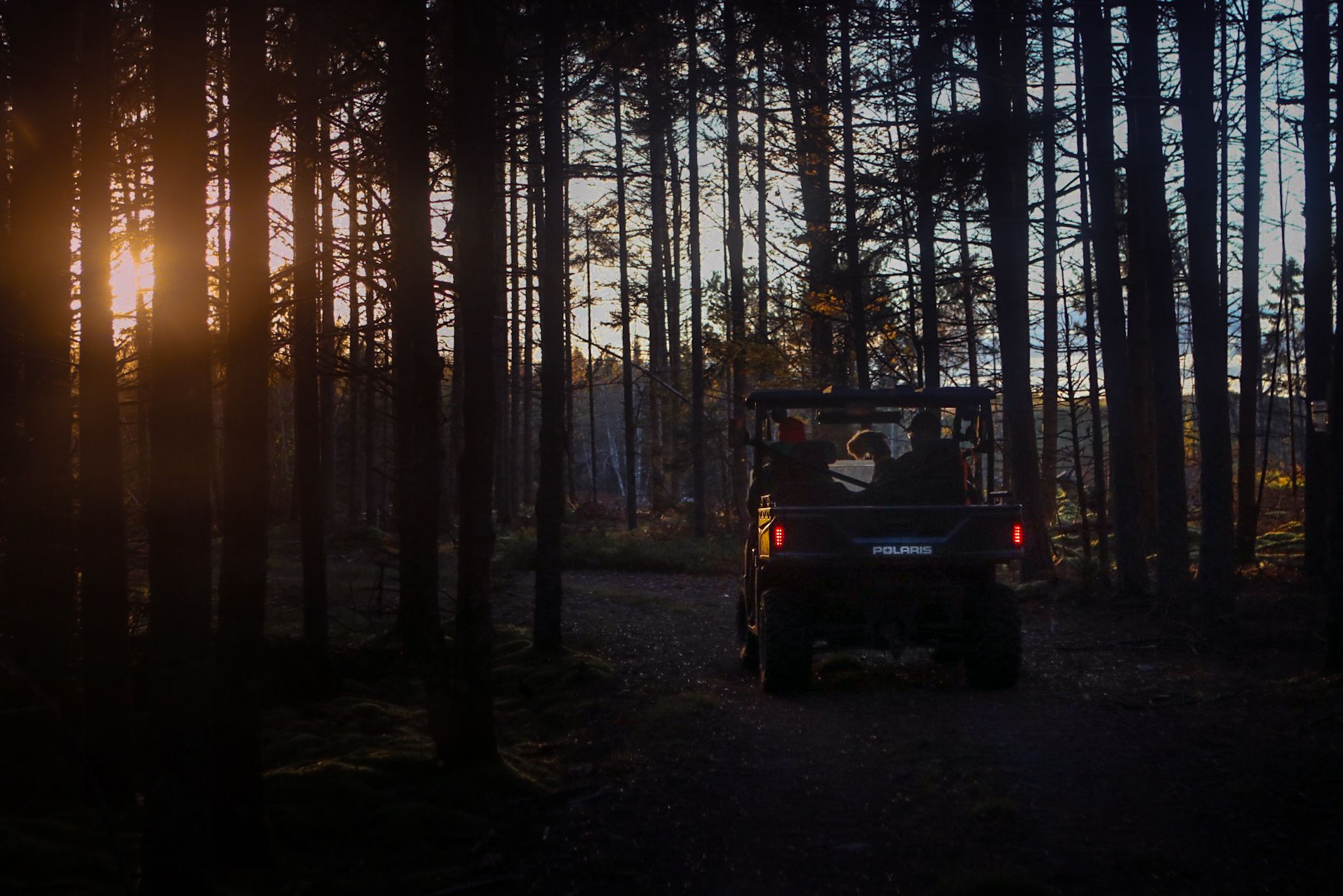 Off-road vehicle driving through dark forest at sunset with beams of light filtering through trees.