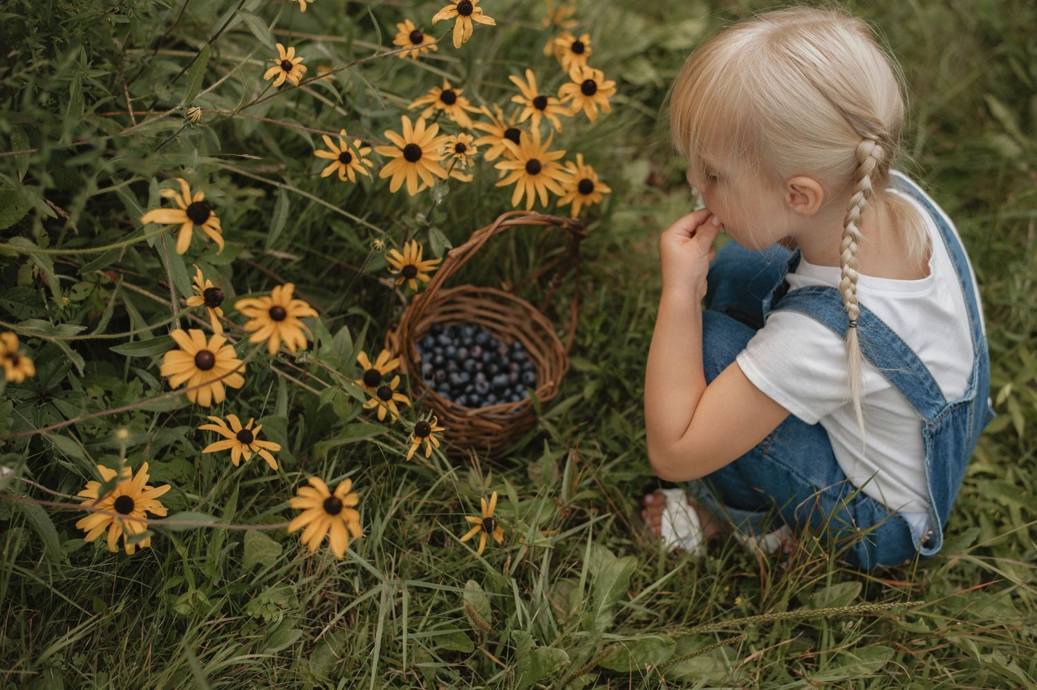 Joyful girls running through a golden field holding hands, captured by a lifestyle photographer in Casco Maine.
