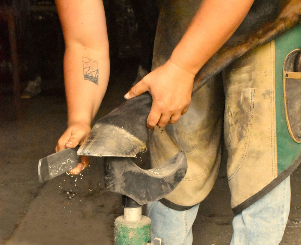 Weaver Horseshoeing ~ Wisconsin Farrier