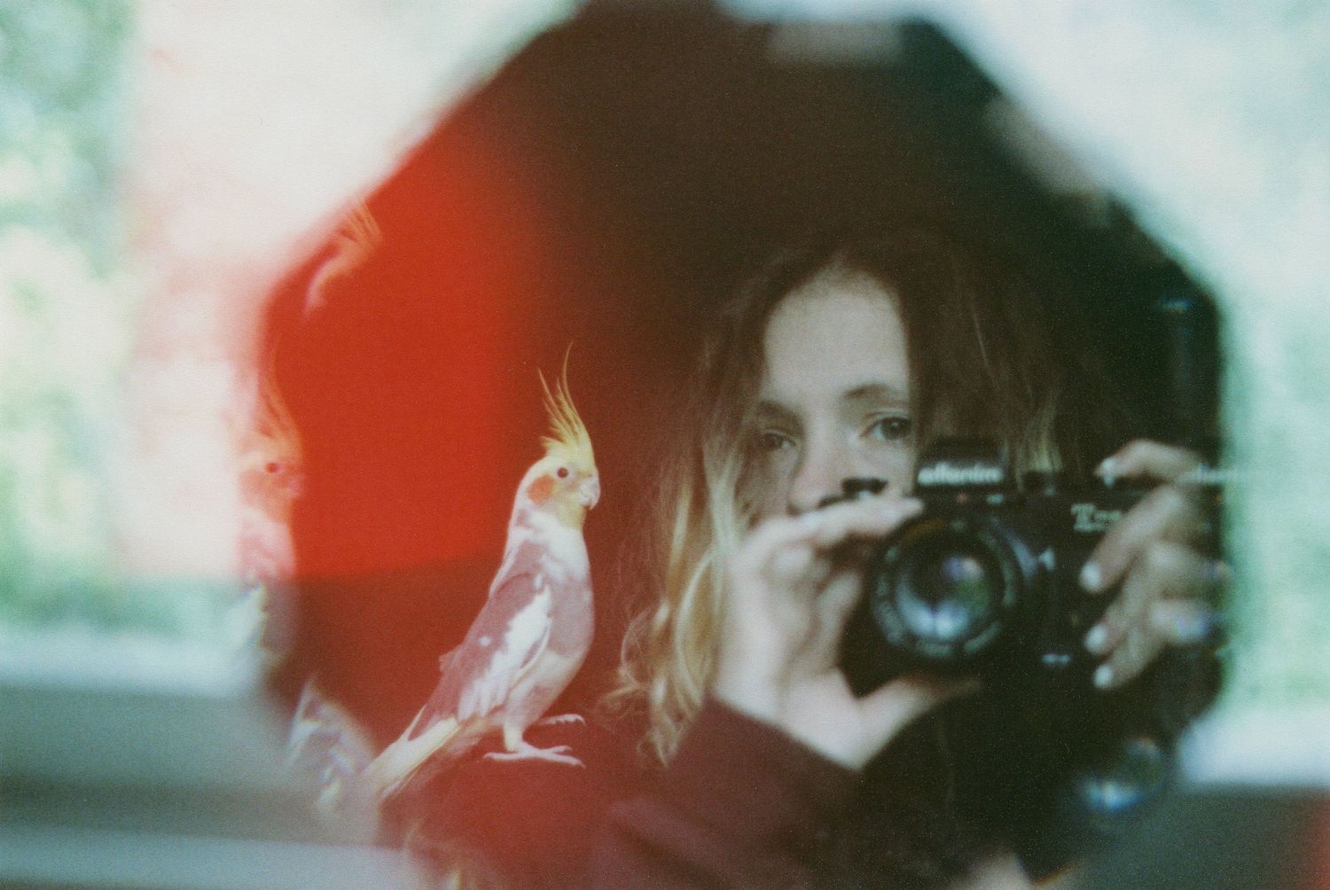 A photographer in dark clothing takes a photo with an analog camera against a red and blue background.