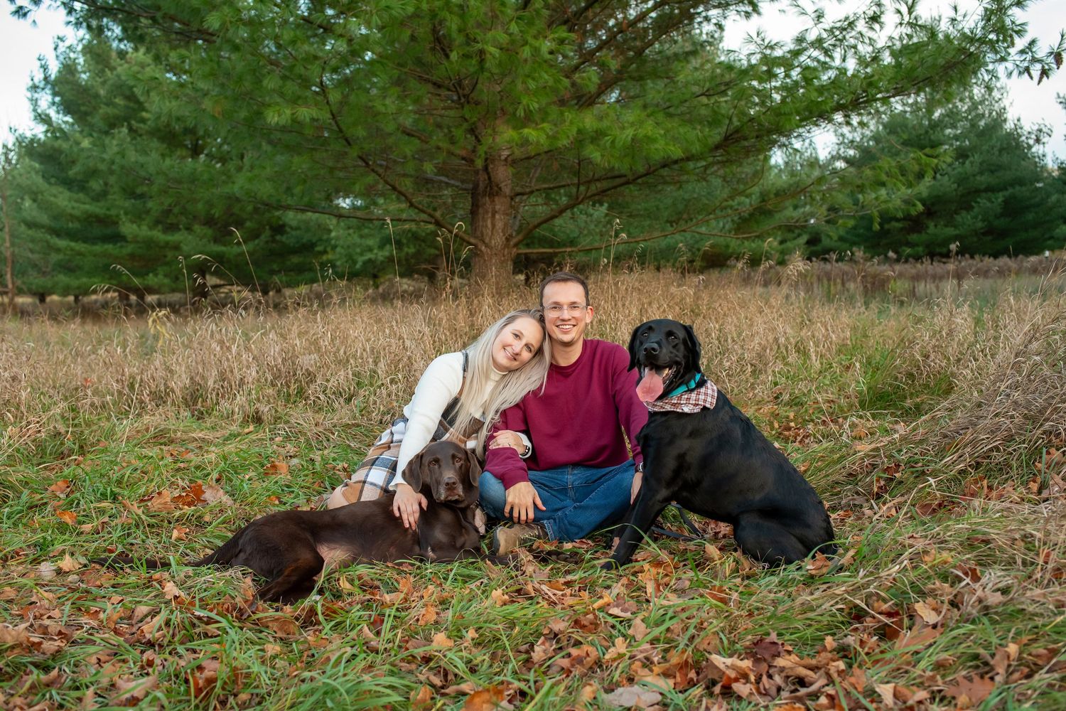 Black dog and companions laying together in autumn leaves under evergreen trees AT KOMOKA PROVINCIAL PARK.