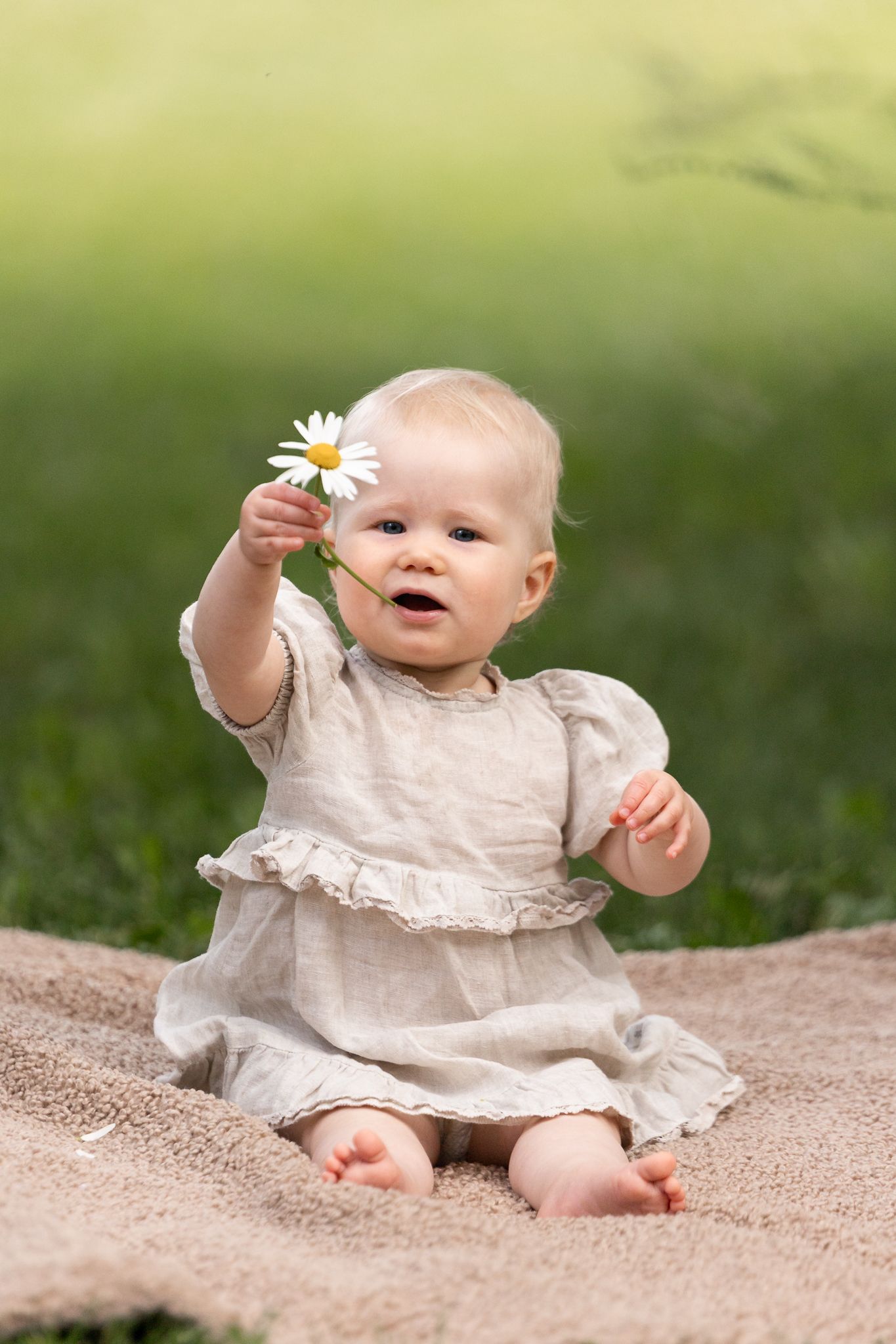 Adorable baby girl in linen dress sitting on blanket outdoors, holding a white daisy flower in green garden.