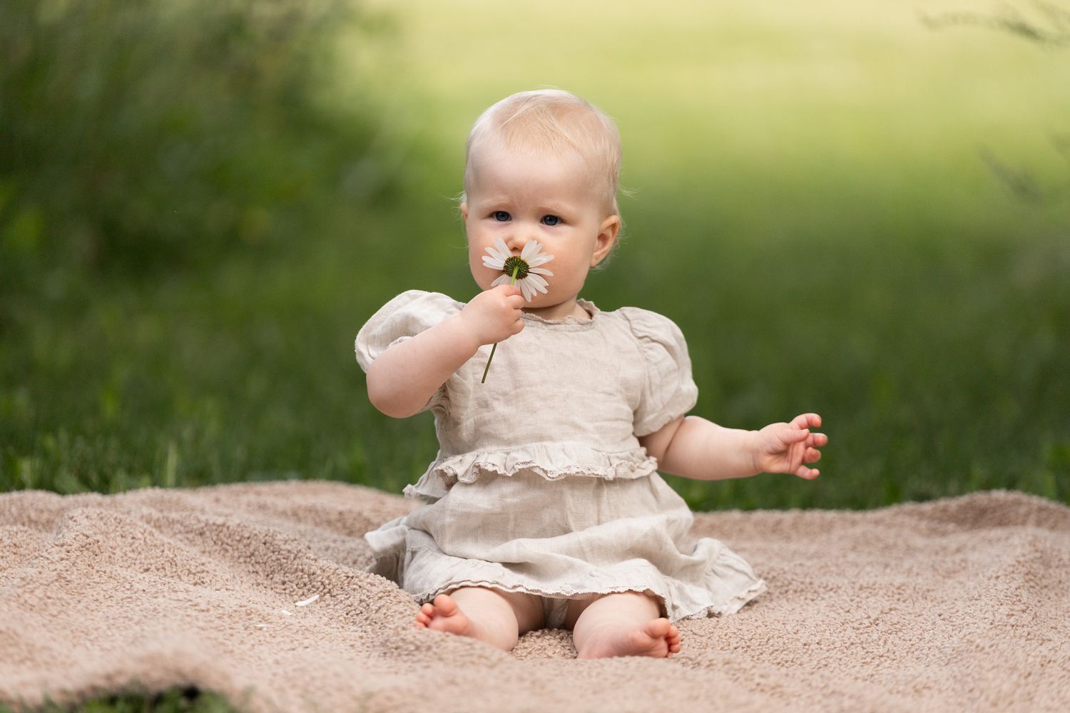 Baby girl in linen dress sitting on blanket in grass, holding white flower to her mouth outdoors.