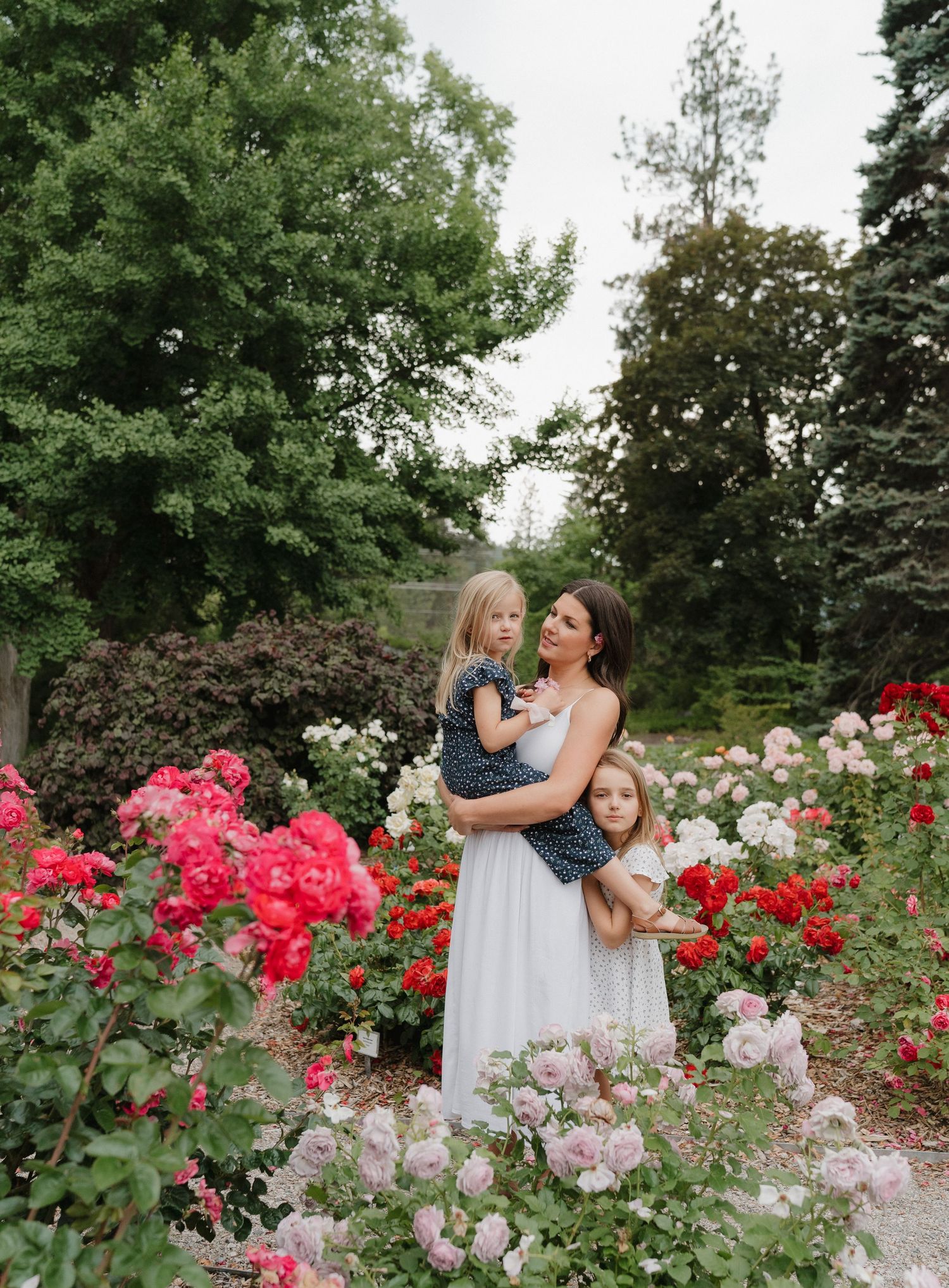 a stunning okanagan mom and her children, walking among the beautiful flowers, while her children embrace her.