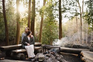 Sunlit forest path with stone walls creating a romantic woodland setting.