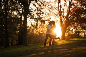 Golden sunset filtering through trees creating dramatic silhouettes in park setting.
