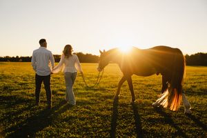 Toronto Horse Engagement Photos