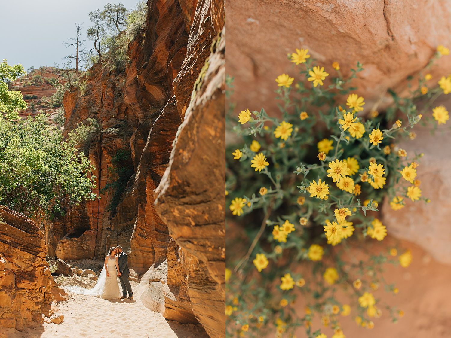 Wedding couple embracing in a red rock canyon with vibrant yellow wildflowers at Zion National Park.