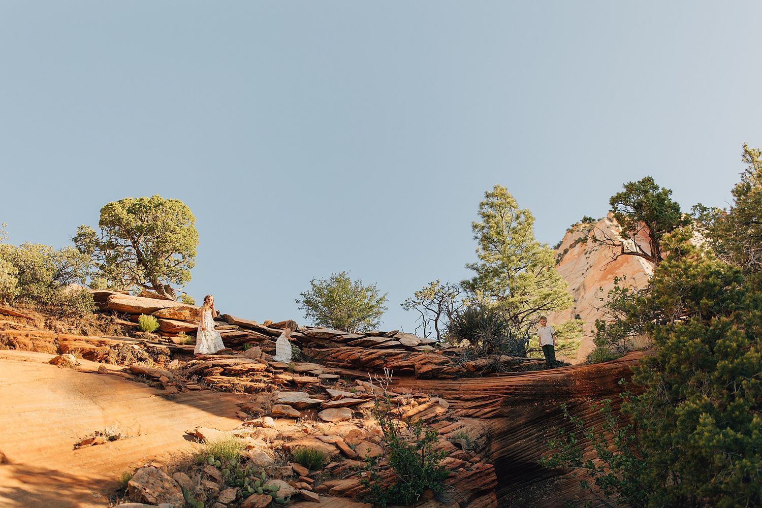 Couple stands on red rock formations in Zion National Park surrounded by lush green trees and sandstone cliffs.