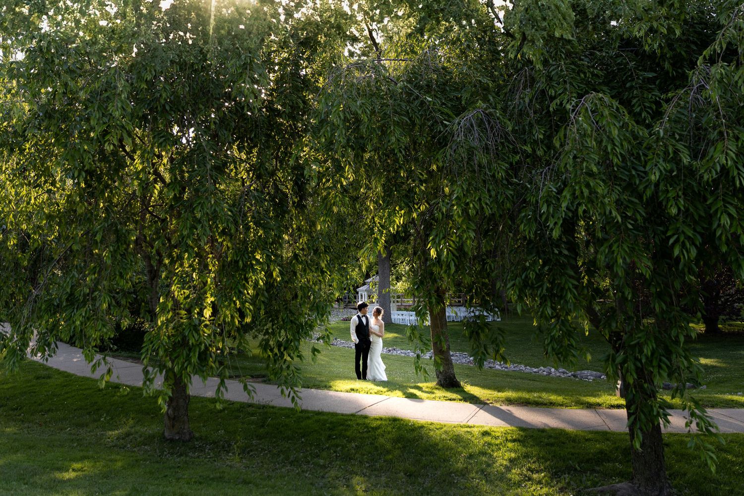 Bride and groom embrace under weeping willow trees in a sunlit park near their ceremony space at the civic garden complex in london, ontario