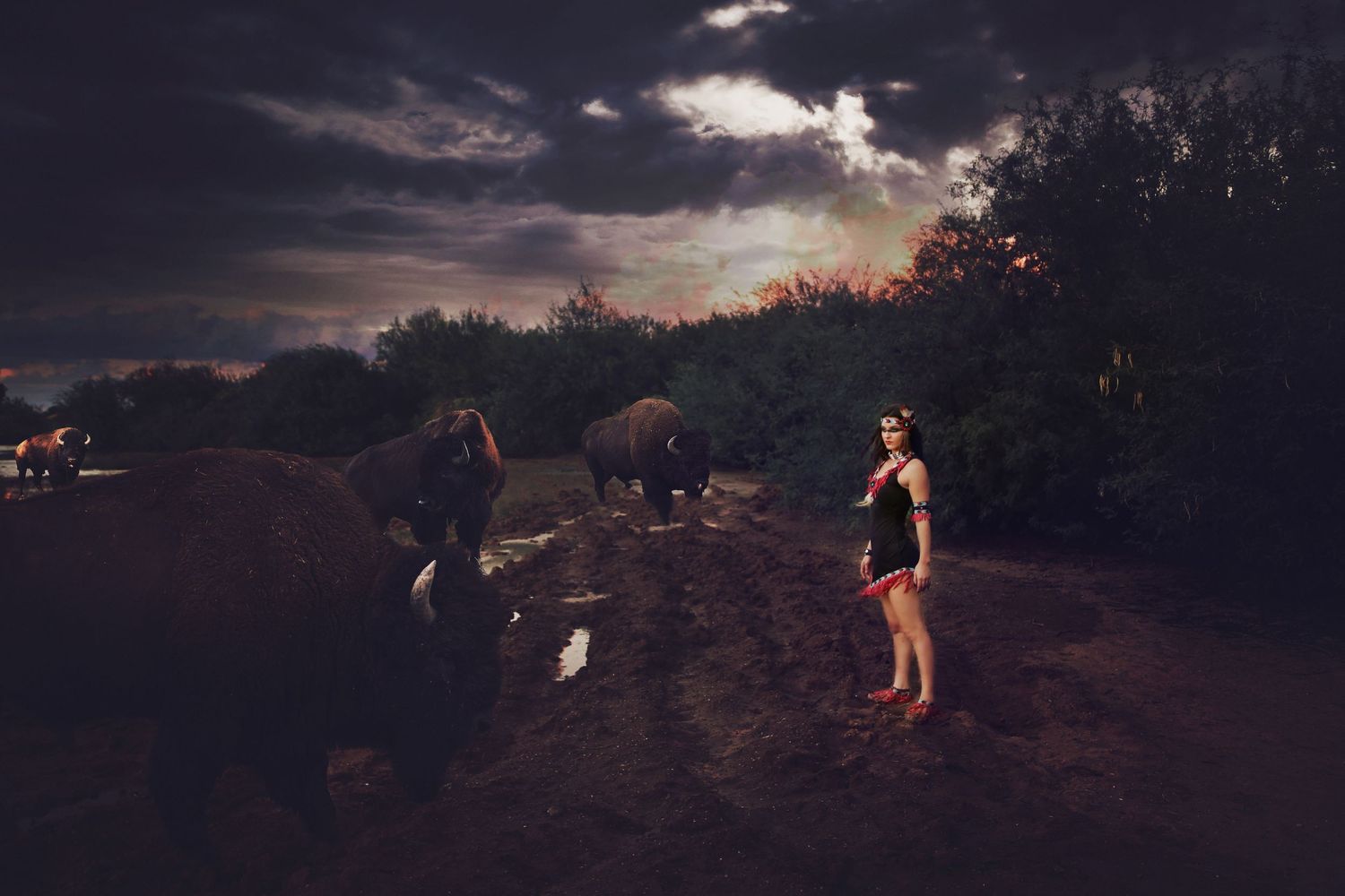 A woman in a dark outfit stands on a muddy field beside grazing elephants under a dramatic stormy sky at dusk.