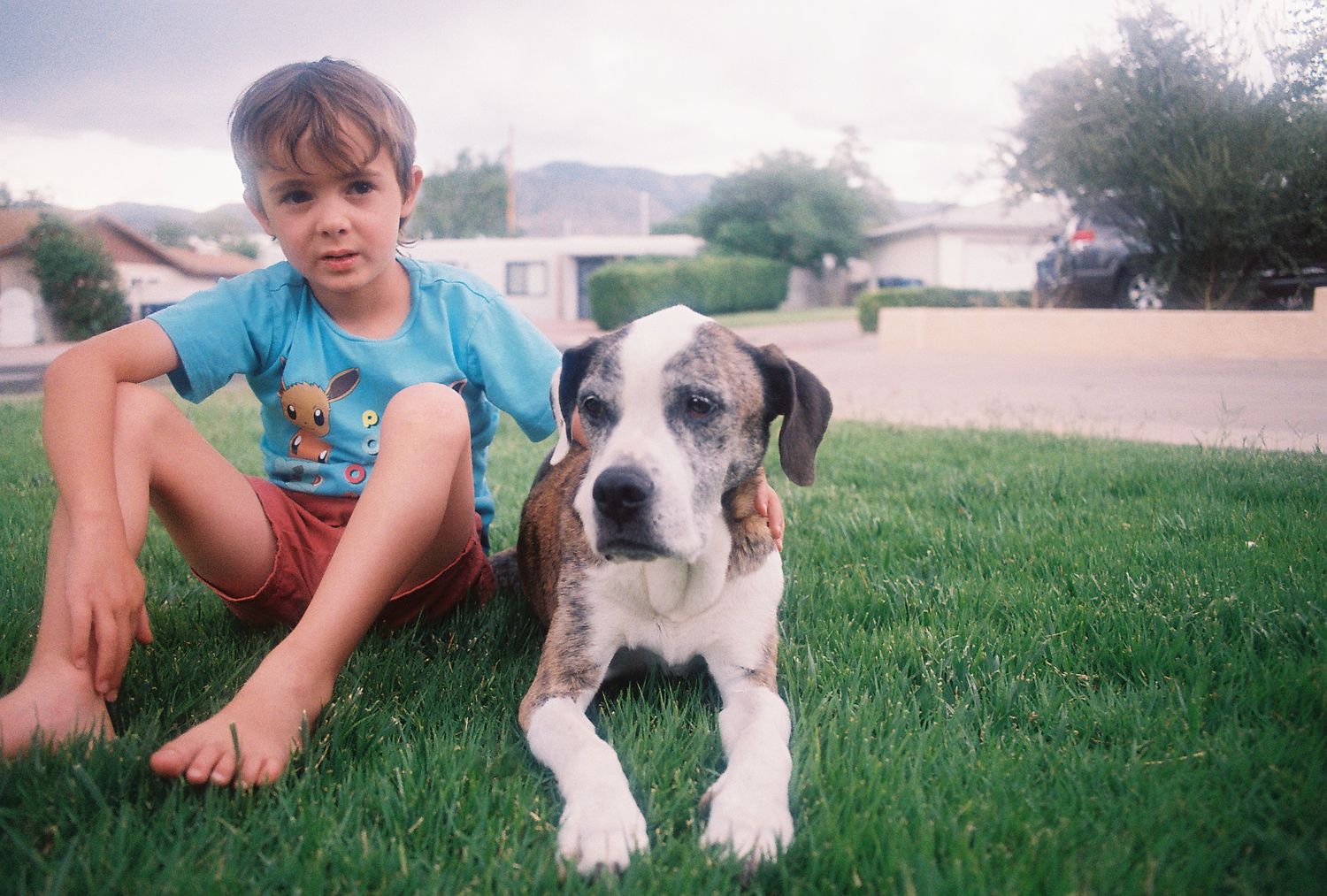 Young boy sitting on green grass beside a black and white mixed breed dog in a suburban yard.