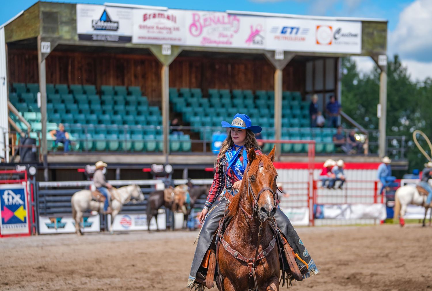 Falkland Stampede